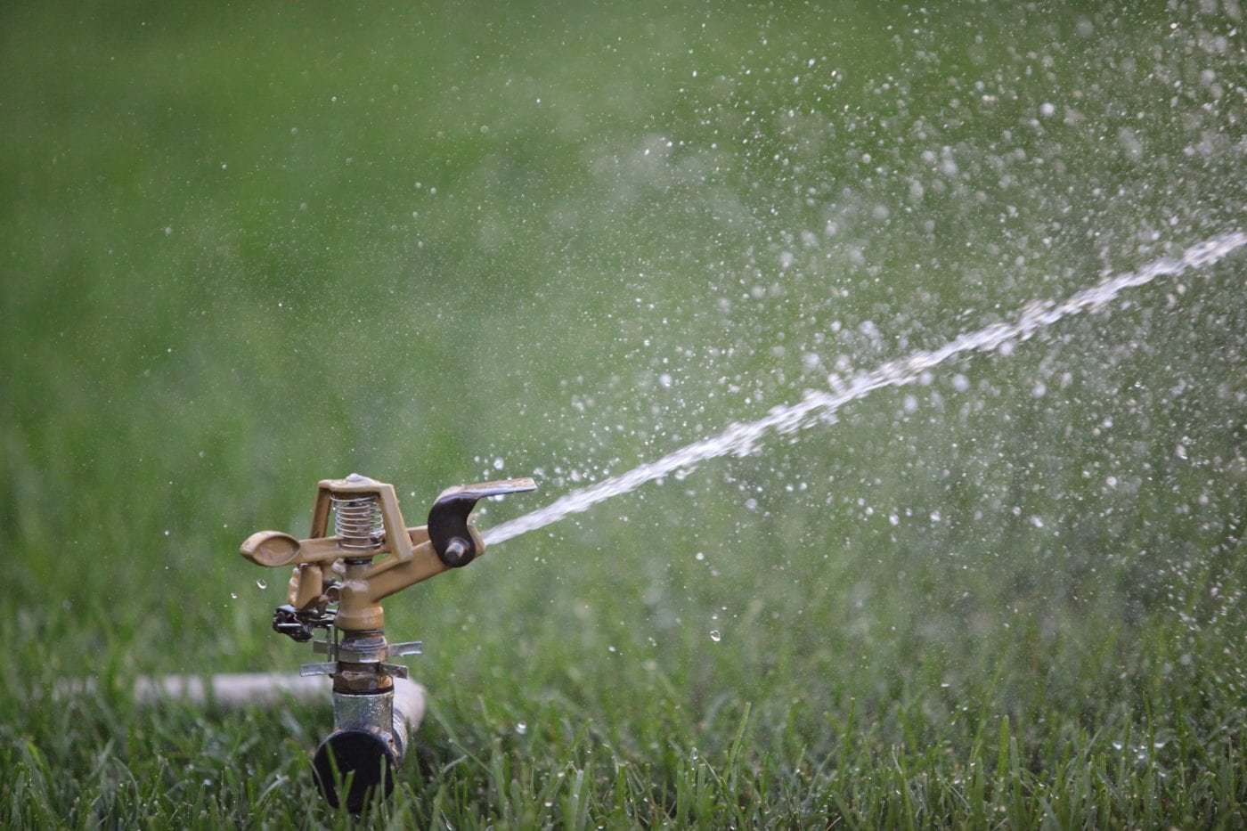 Watering your foundation