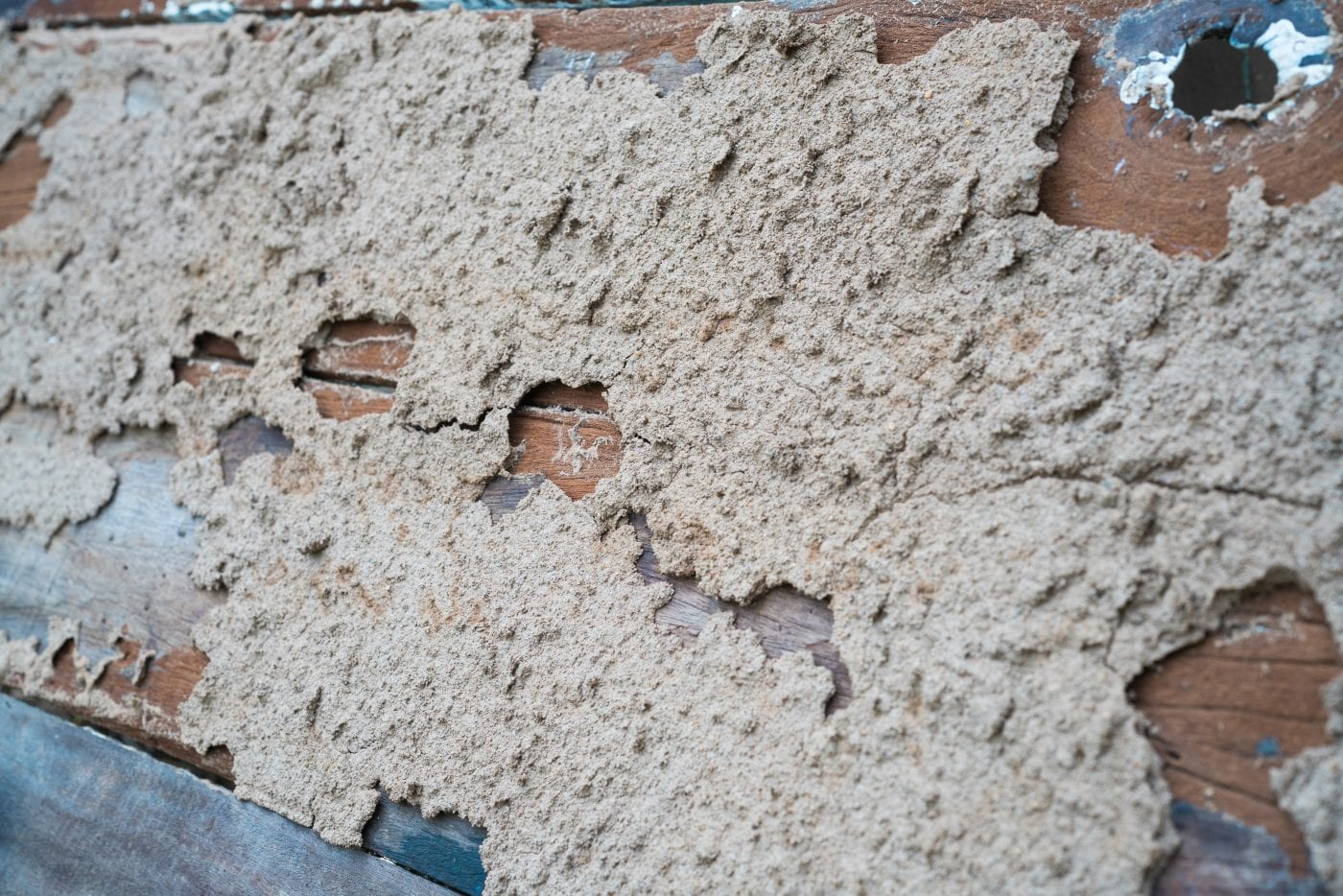 Termite damage pier and beam foundation
